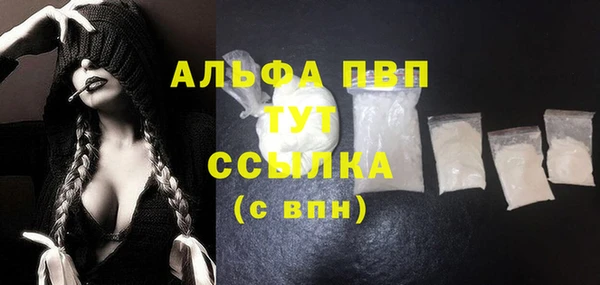 винт Ельня
