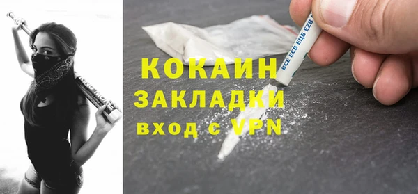 винт Ельня