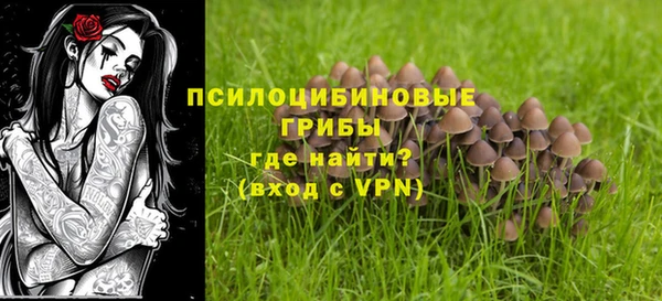 хмурый Елабуга