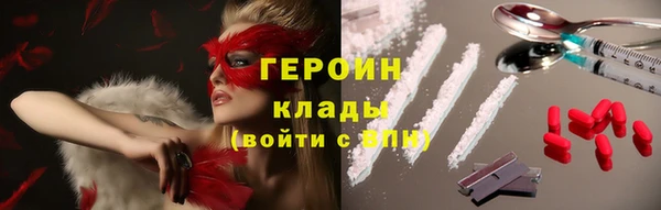 винт Ельня