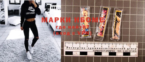 винт Ельня