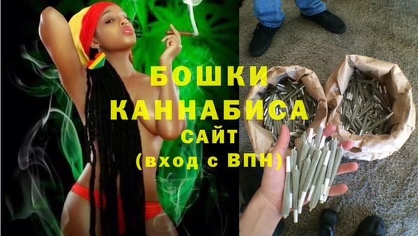 винт Ельня