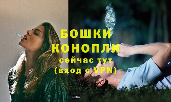 трава Елизово