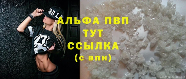 винт Ельня