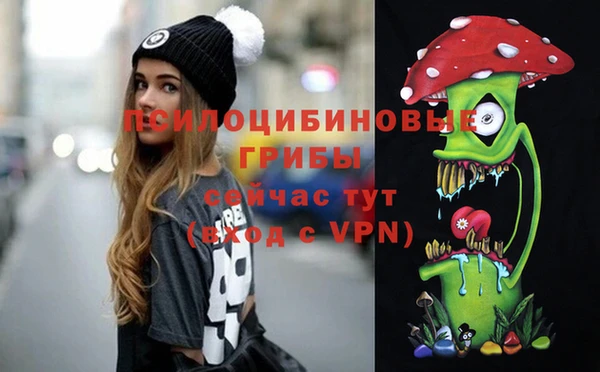 винт Ельня