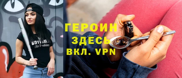 винт Ельня
