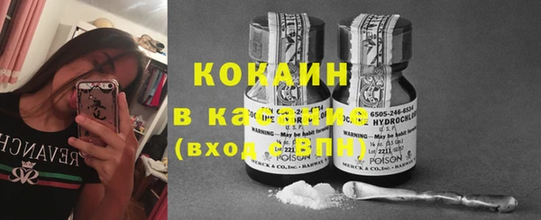 винт Ельня