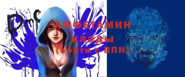 винт Ельня